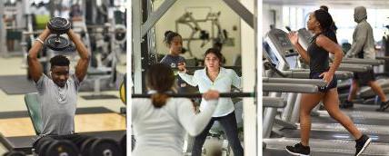 A coll年龄 of three scenes in the Delaware Tech wellness center: a woman on a treadmill, another woman doing weighted squat exercises, and a man raising a barbell above his head with both hands.